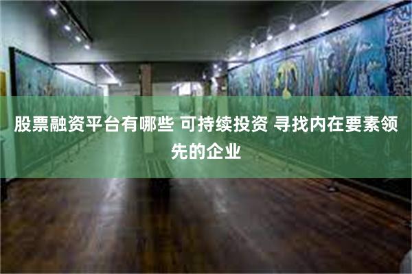 股票融资平台有哪些 可持续投资 寻找内在要素领先的企业