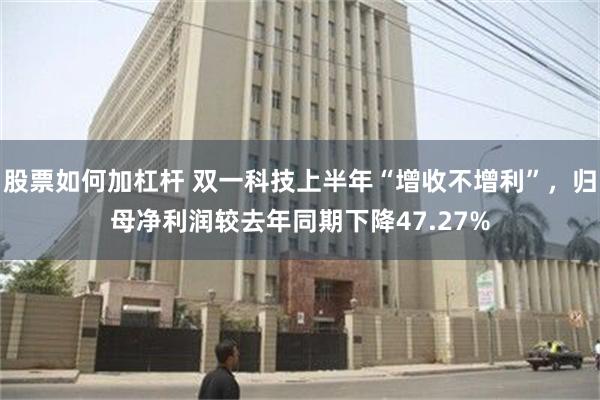 股票如何加杠杆 双一科技上半年“增收不增利”，归母净利润较去年同期下降47.27%