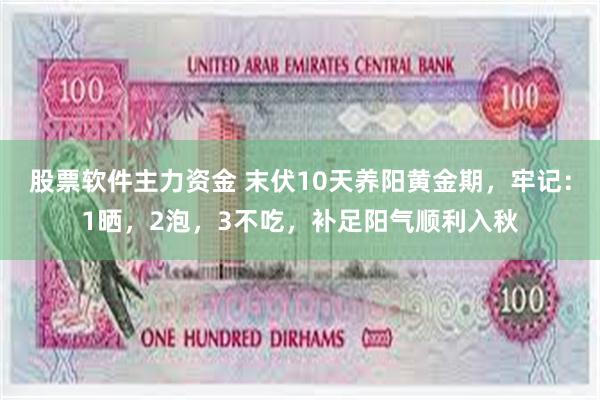 股票软件主力资金 末伏10天养阳黄金期，牢记：1晒，2泡，3不吃，补足阳气顺利入秋