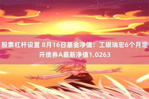 股票杠杆设置 8月16日基金净值：工银瑞宏6个月定开债券A最新净值1.0263