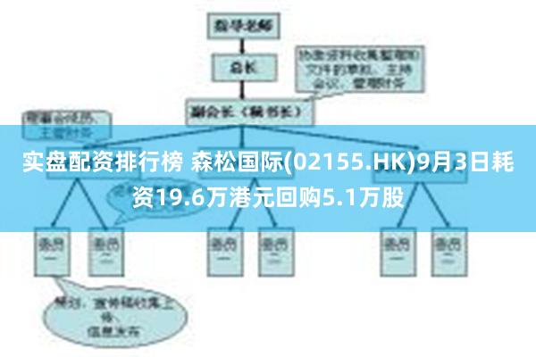 实盘配资排行榜 森松国际(02155.HK)9月3日耗资19.6万港元回购5.1万股