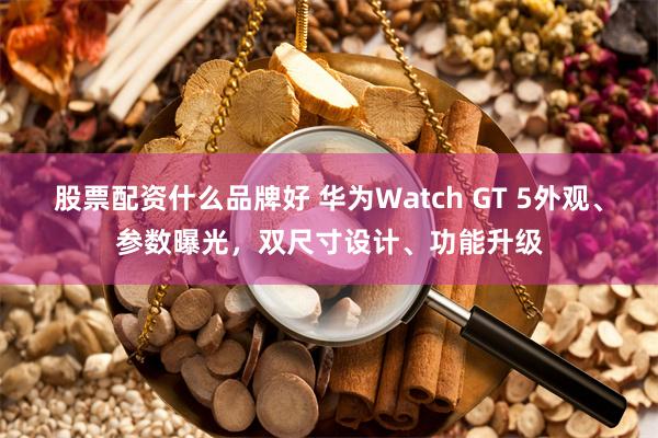 股票配资什么品牌好 华为Watch GT 5外观、参数曝光，双尺寸设计、功能升级