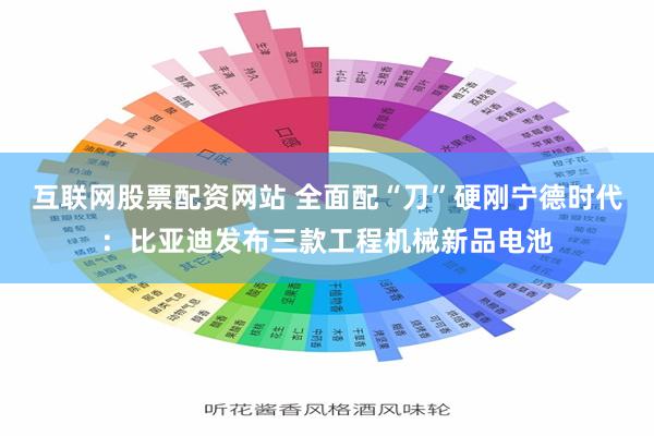 互联网股票配资网站 全面配“刀”硬刚宁德时代：比亚迪发布三款工程机械新品电池